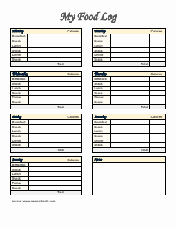  Food Log Template in Word