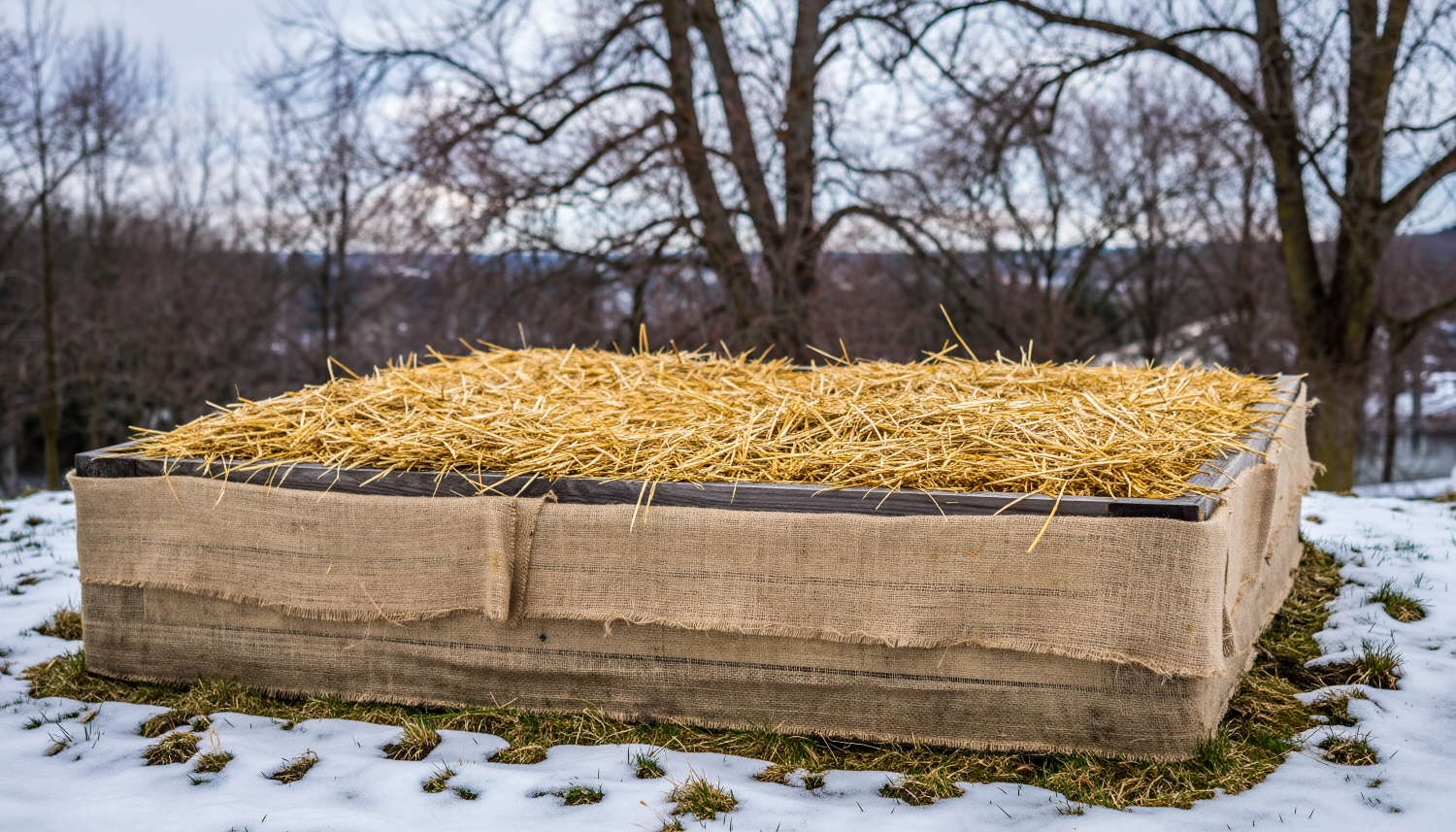 How to Protect Raised Planters in Winter: Cold-Weather Tips