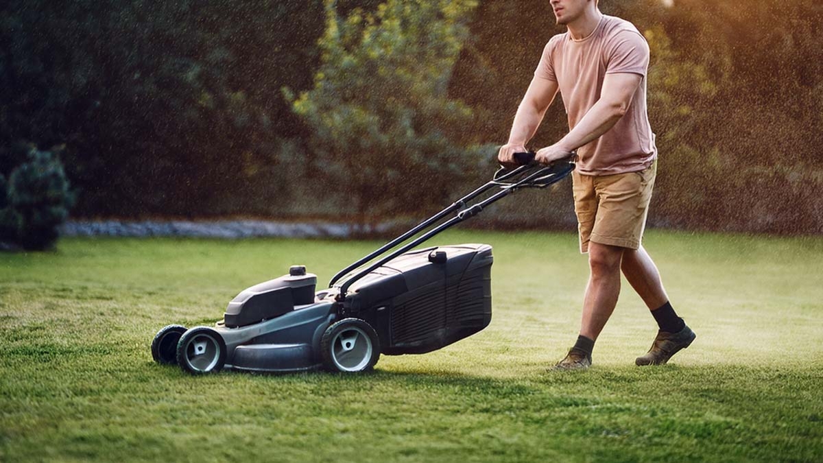 Lawn Mowing