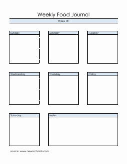 Customizable Weekly Food Journal Template |  Free Word Download