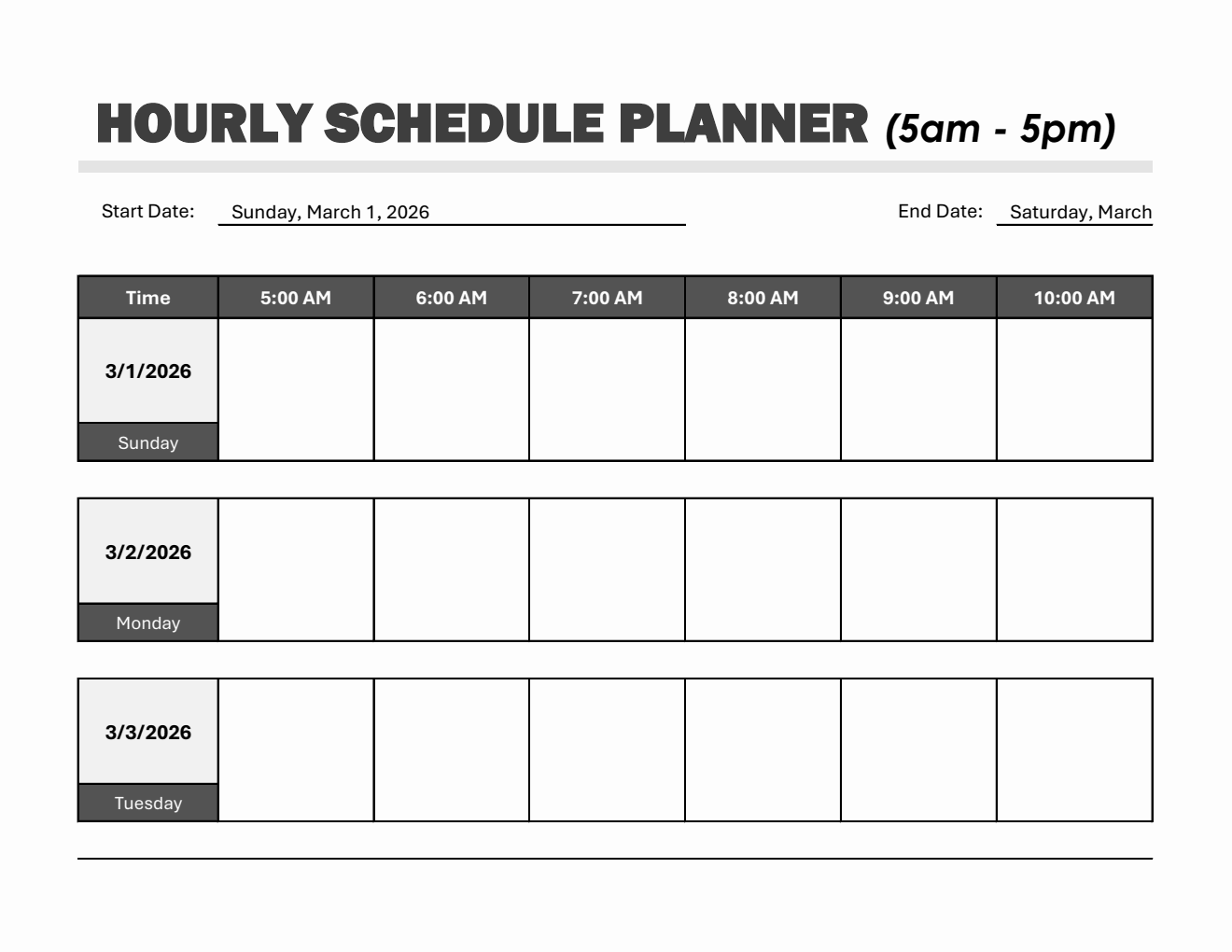 Fillable Weekly Hourly Schedule Template in Excel